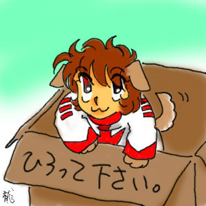 ひろって下さい。